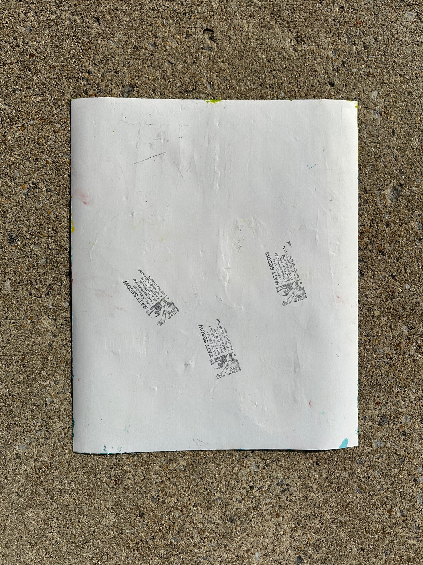 Matt Sesow - Family of Swimmers Painting